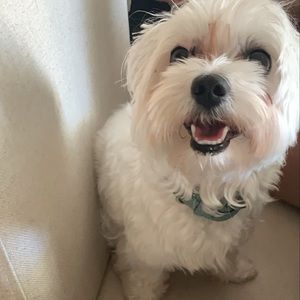 Meet your Posher, Arianys